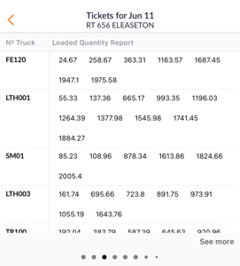 Loaded Quantity Report